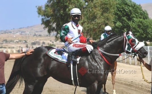 HRB complaint against jockey Jose Nicasio,