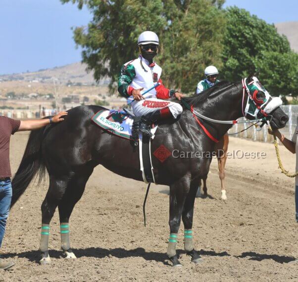 HRB complaint against jockey Jose Nicasio,