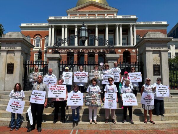 A group of demonstrators outside of the MA state house