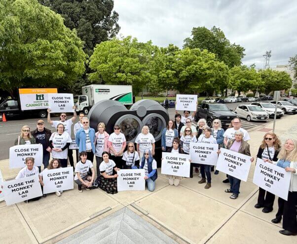 A group of advocates holding Close the Monkey Lab signs