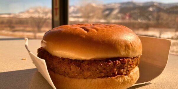vegan burger on amtrak train