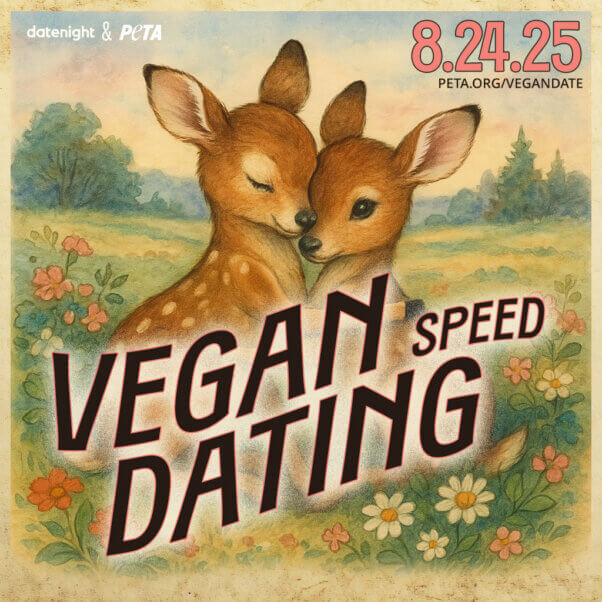 An illustration of two deer in a field