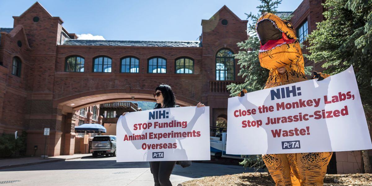 People holding signs saying "NIH: Stop Funding Animal Experiments Overseas" and "NIH: Close the Monkey Labs, Stop the Jurassic-Sized Waste!'