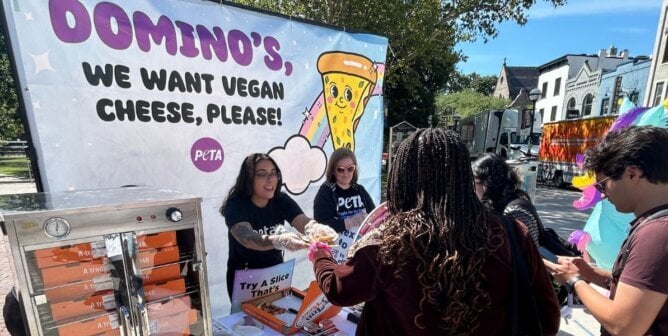 A vegan pizza giveaway