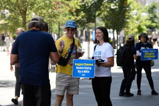 vegan cheese giveaway