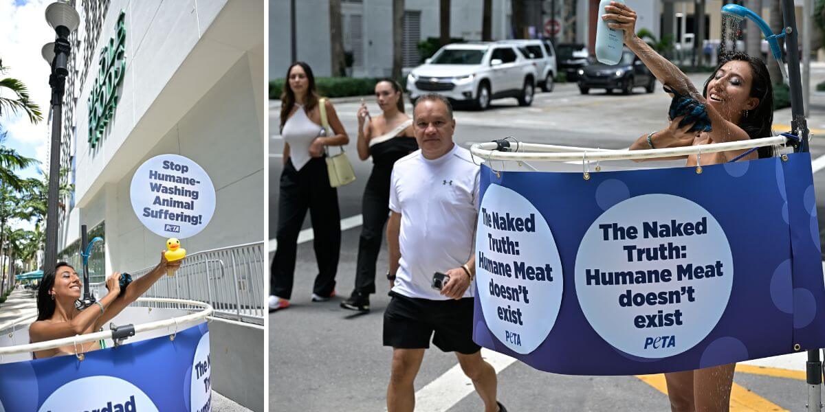 A nearly nude PETA Supporter pretending to shower in front of Whole Foods