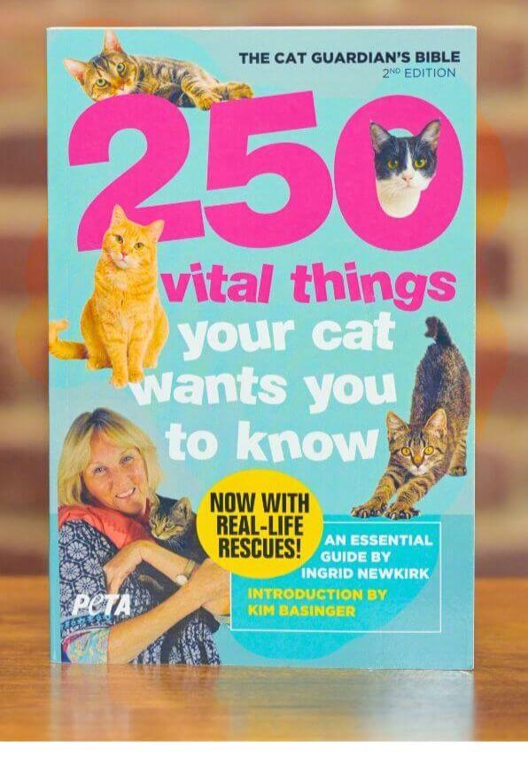 250 Vital Things Your Cat Wants You to Know book cover