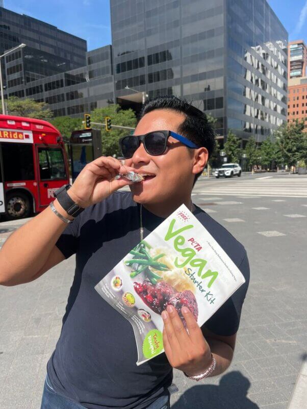 vegan cheese giveaway