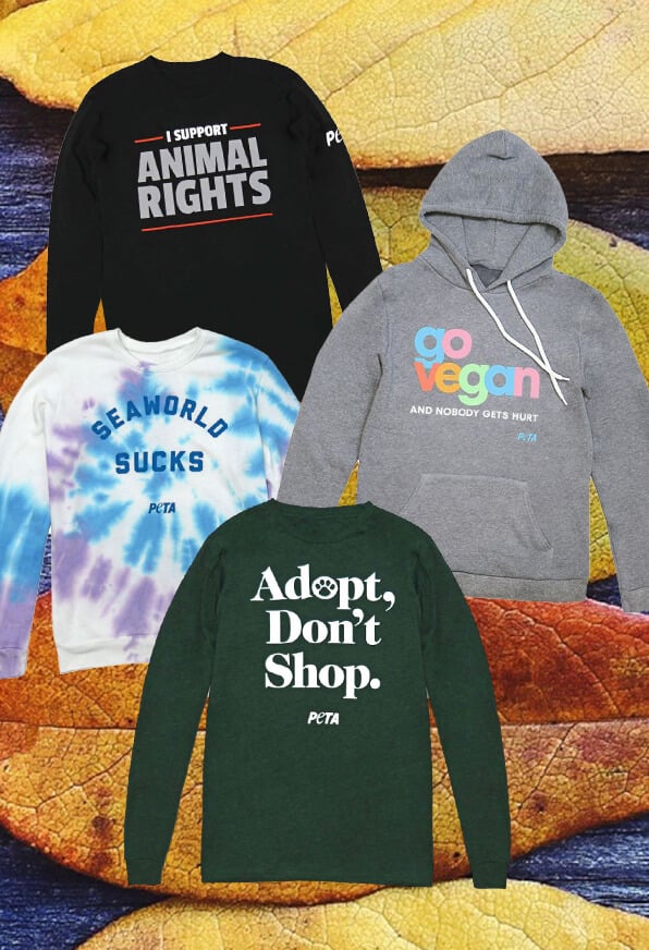 Various shirts for sale in the PETA Shop