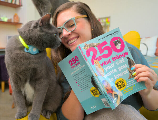 A person holding Ingrid's cat book as a cat approaches her
