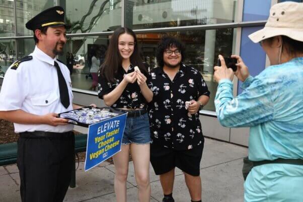 vegan cheese giveaway