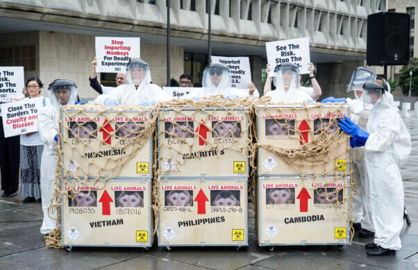 People in hazmat suits with a prop crate of 'monkeys'