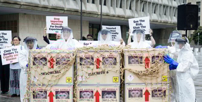People in hazmat suits with a prop crate of 'monkeys'