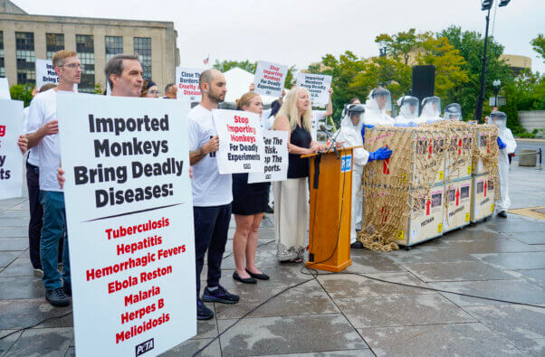 Group photo of the conference