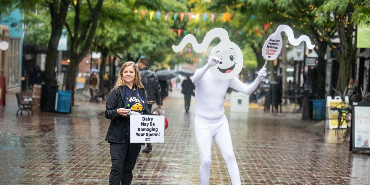 Demonstrator with a person in a sperm outfit