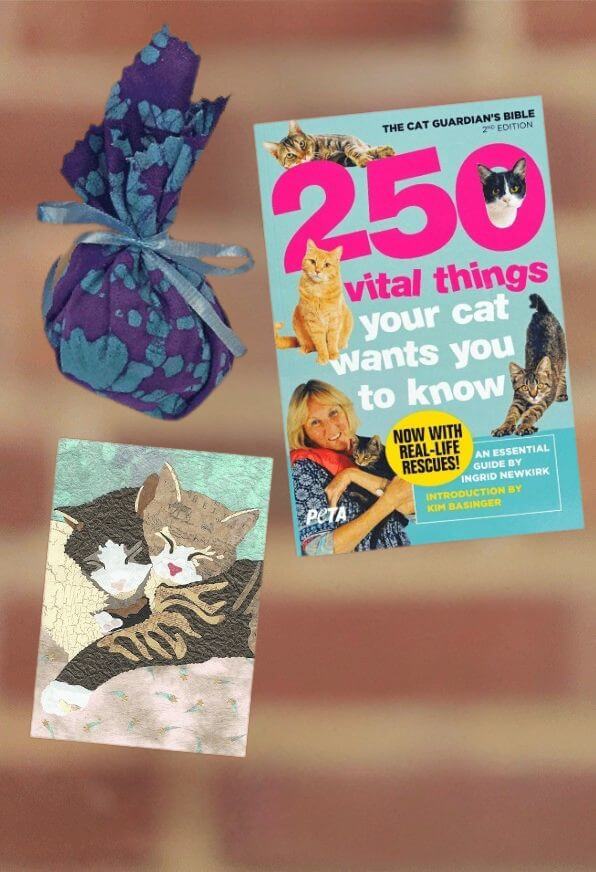 Cat Book items