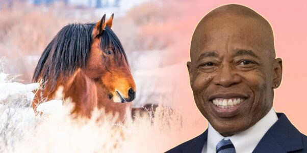 Eric Adams portrait next to a horse