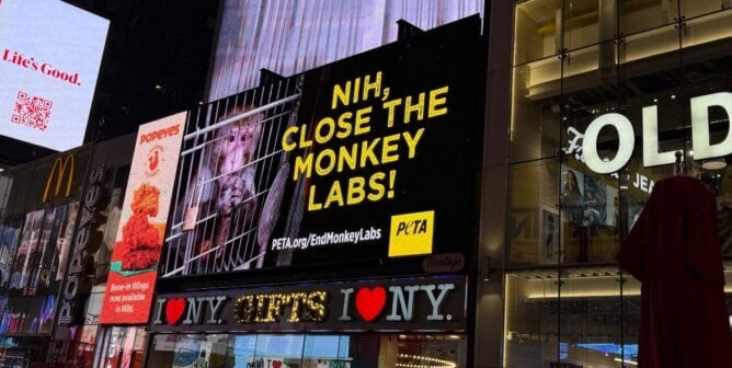 A billboard in Times Square