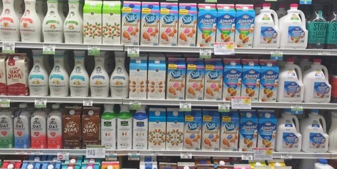 vegan milk section at Publix
