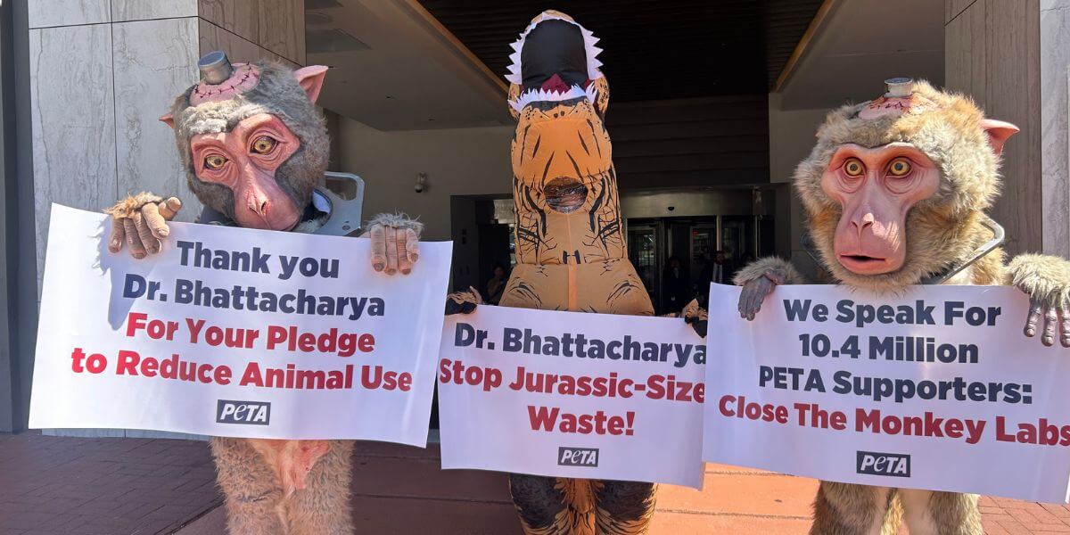 Demonstrators in mascot suits