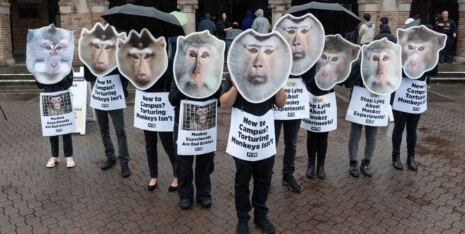Demonstrators in monkey masks holding signs that say "New to campus? Torturing monkeys isn't"