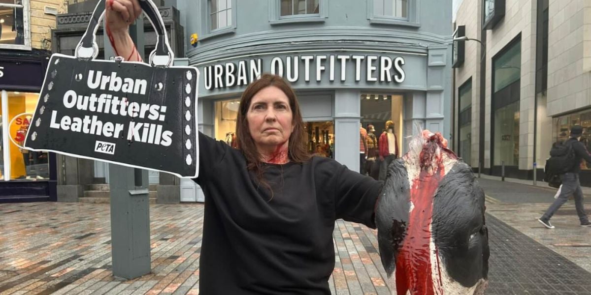 Demonstrator holdinf a sign and a prop 'severed cow's head'