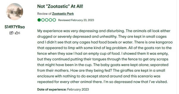 Negative Zootastic review