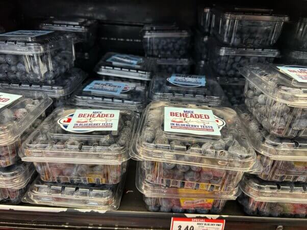 Stickers on blueberry packages