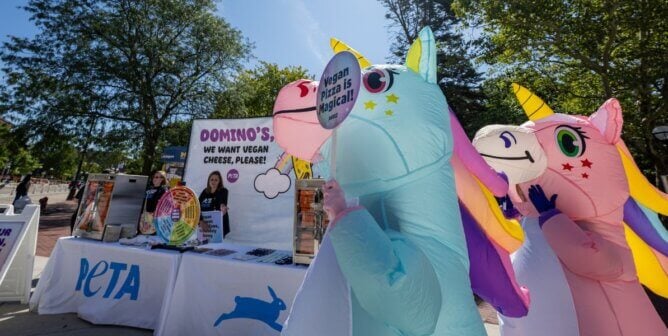 Unicorn mascots in University of Michigan