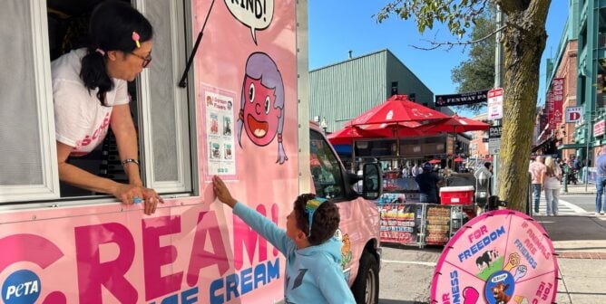 A child ordering vegan ice cream from the i scream truck