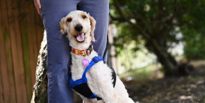 Keke leaning on someone's leg.