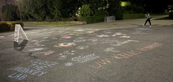 Chalk drawings on UW