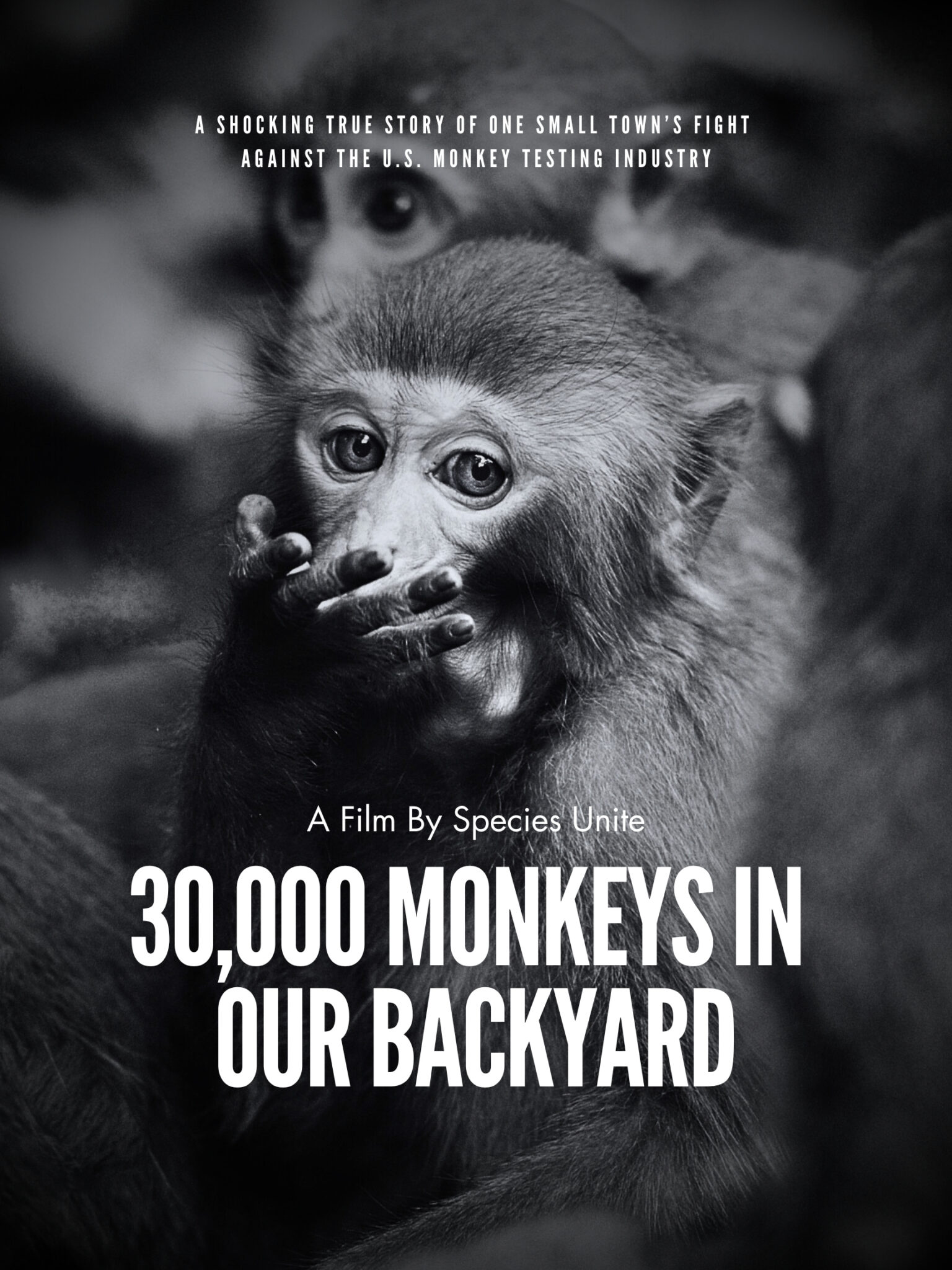 Watch Now: Worldwide Streaming Premiere of ‘30,000 Monkeys in Our ...