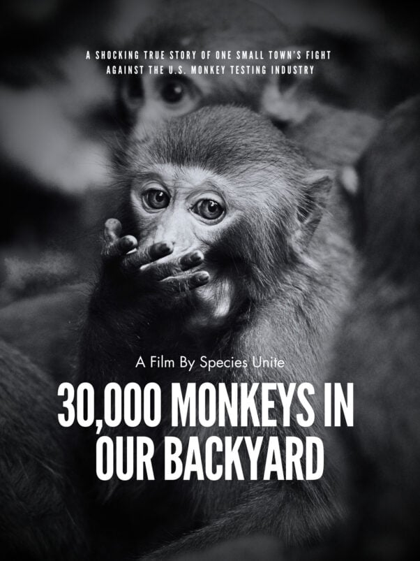 A poster for the documentary 30,000 Monkeys in our Backyard