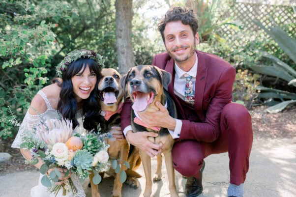 Ashley and Tony wedding image with dogs