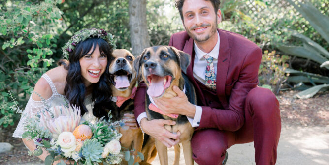 Ashley and Tony wedding image with dogs
