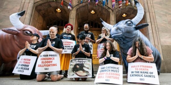 A demo with inflatable bulls and protestors