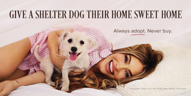 Chrishell Stause Dog Adoption Ad