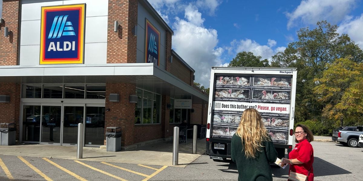Turkey truck in front of Aldi