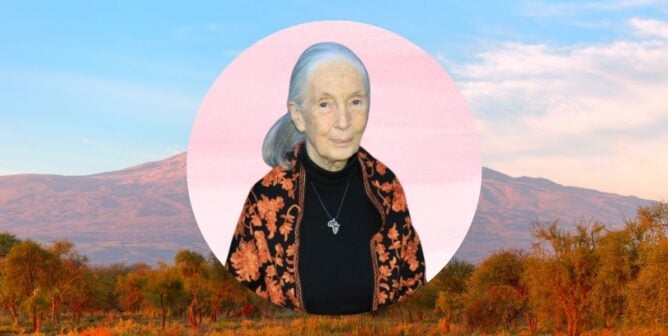 Dr. Jane Goodall