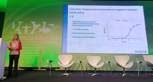 Katherine presenting