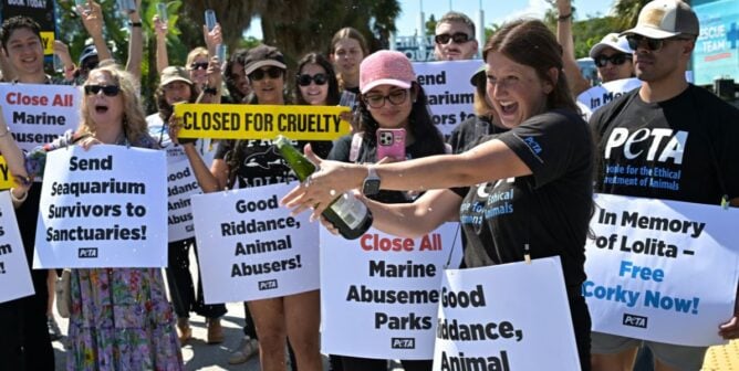 A group of animal defenders celebrating