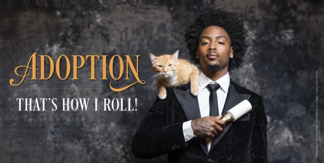 Kordell Beckham with adopted cat Milo, headline reading "Adoption - That's How I Roll