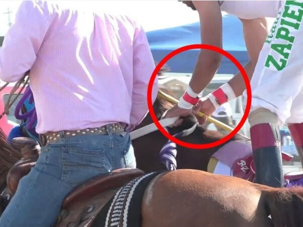 Photo showing a jockey wearing shock devices on both wrists