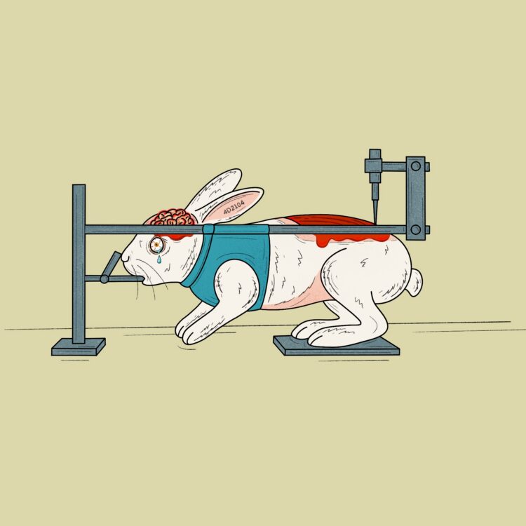 Peta Rabbit Testing Spine-Crushing Experiments on Rabbits Have Stopped! | PETA