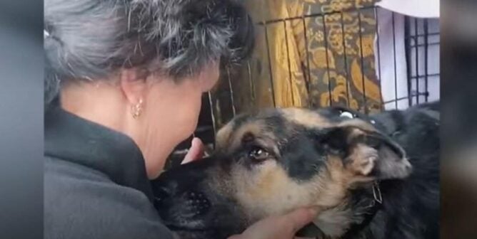 Woman and Alpha together
