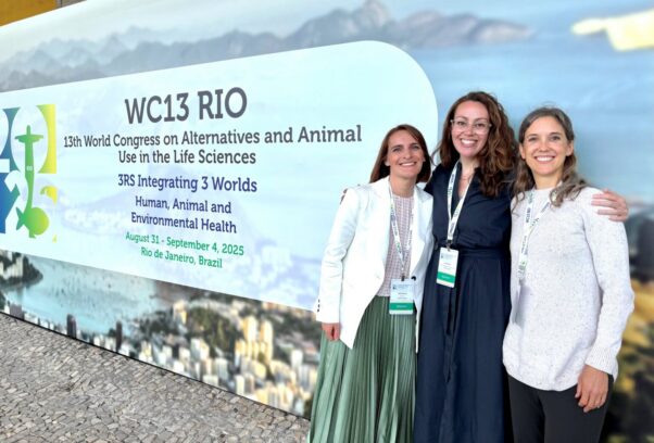 Group photo at WC13 RIO