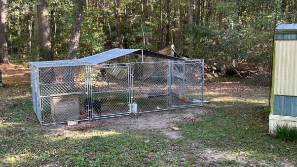 A black dog in a cage