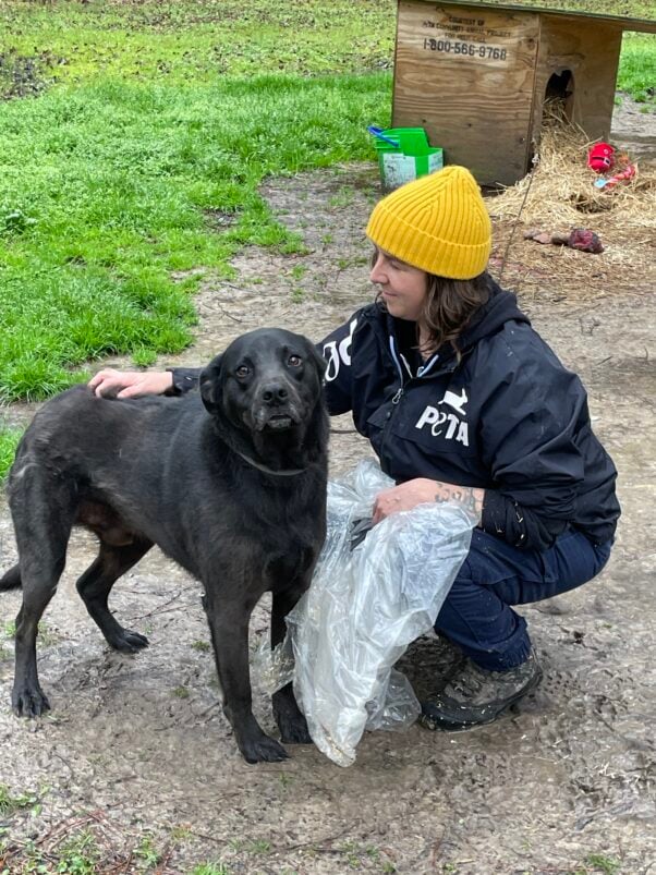 A fieldworker with a black dog