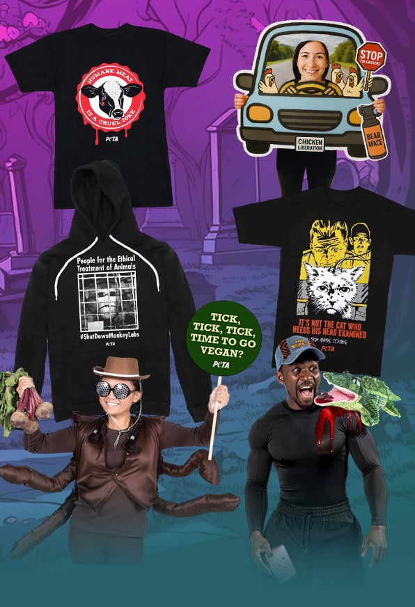 Various Halloween products for sale in the PETA Shop